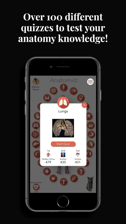 Anatomist – The Anatomy Game