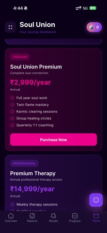 Soul Union Screenshot 5 of 5