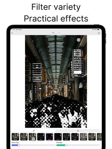 Photo Blur – Brush to Censor iPad screenshot