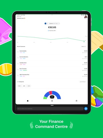Expense AI - Budget Tracker iPad screenshot