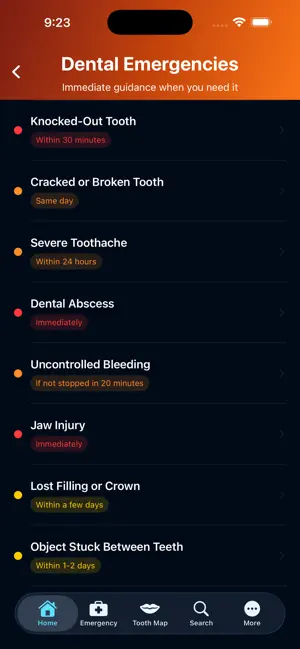 PlainDental screenshot 2