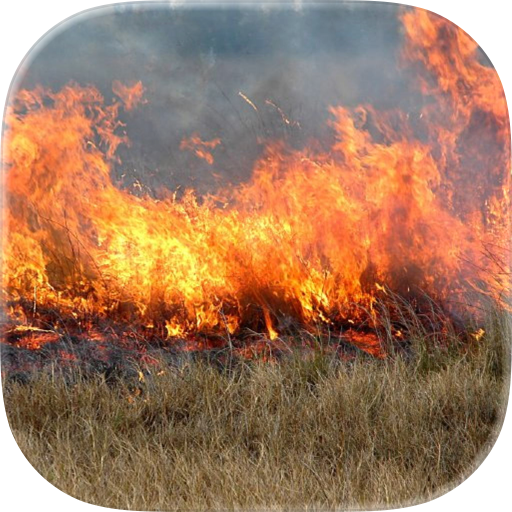 Wildland Toolkit
