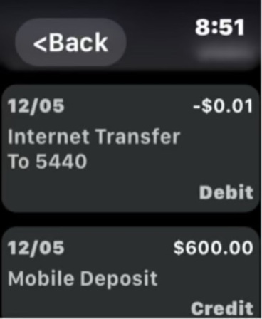 Midland Business Access screenshot 12