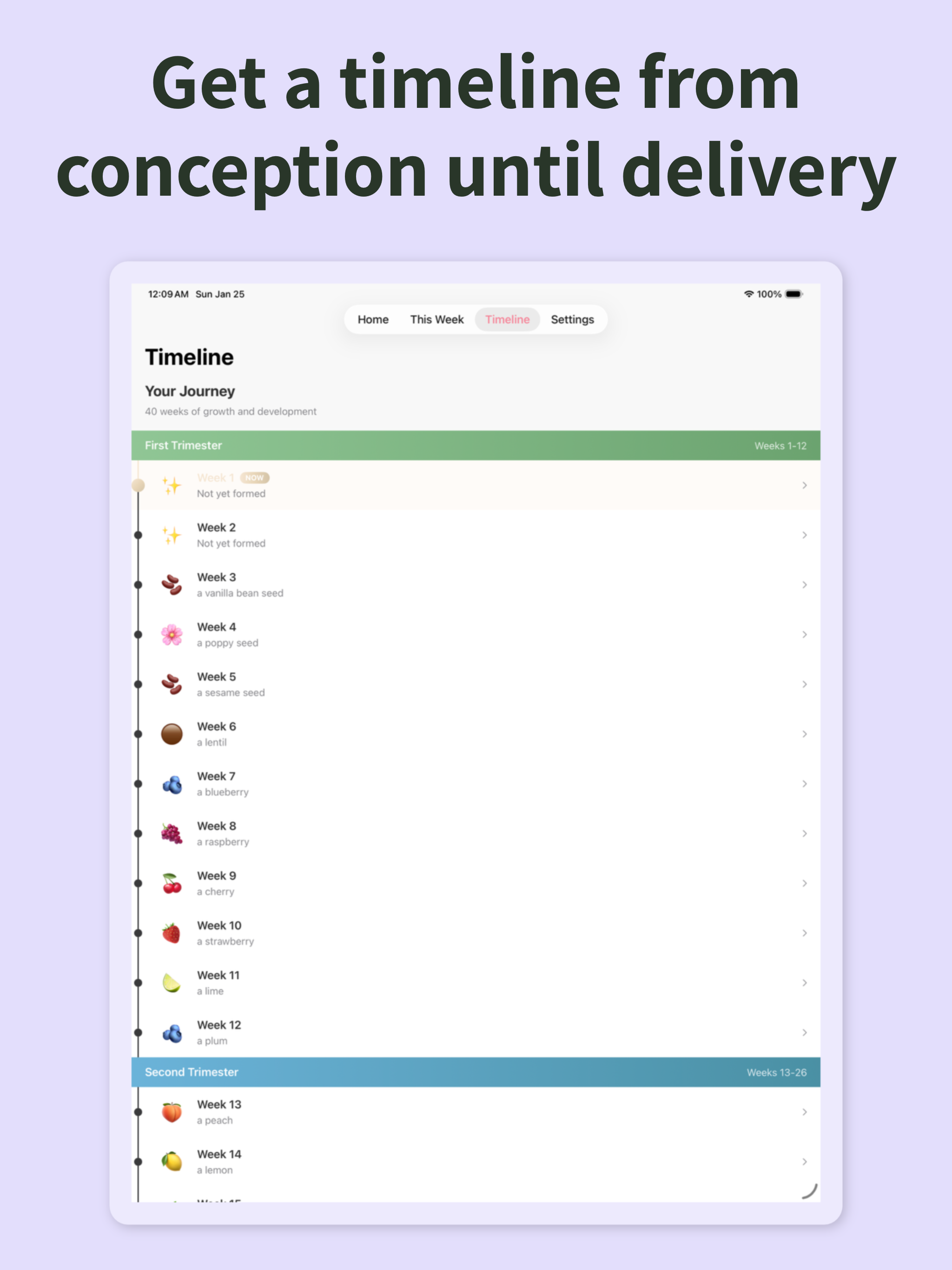 BunTracker: Pregnancy Tracking screenshot 4
