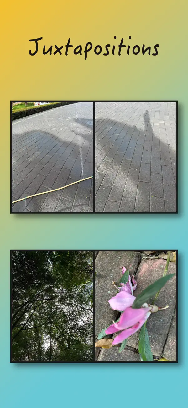 #3. Narda (iOS) Ved: 俊 林