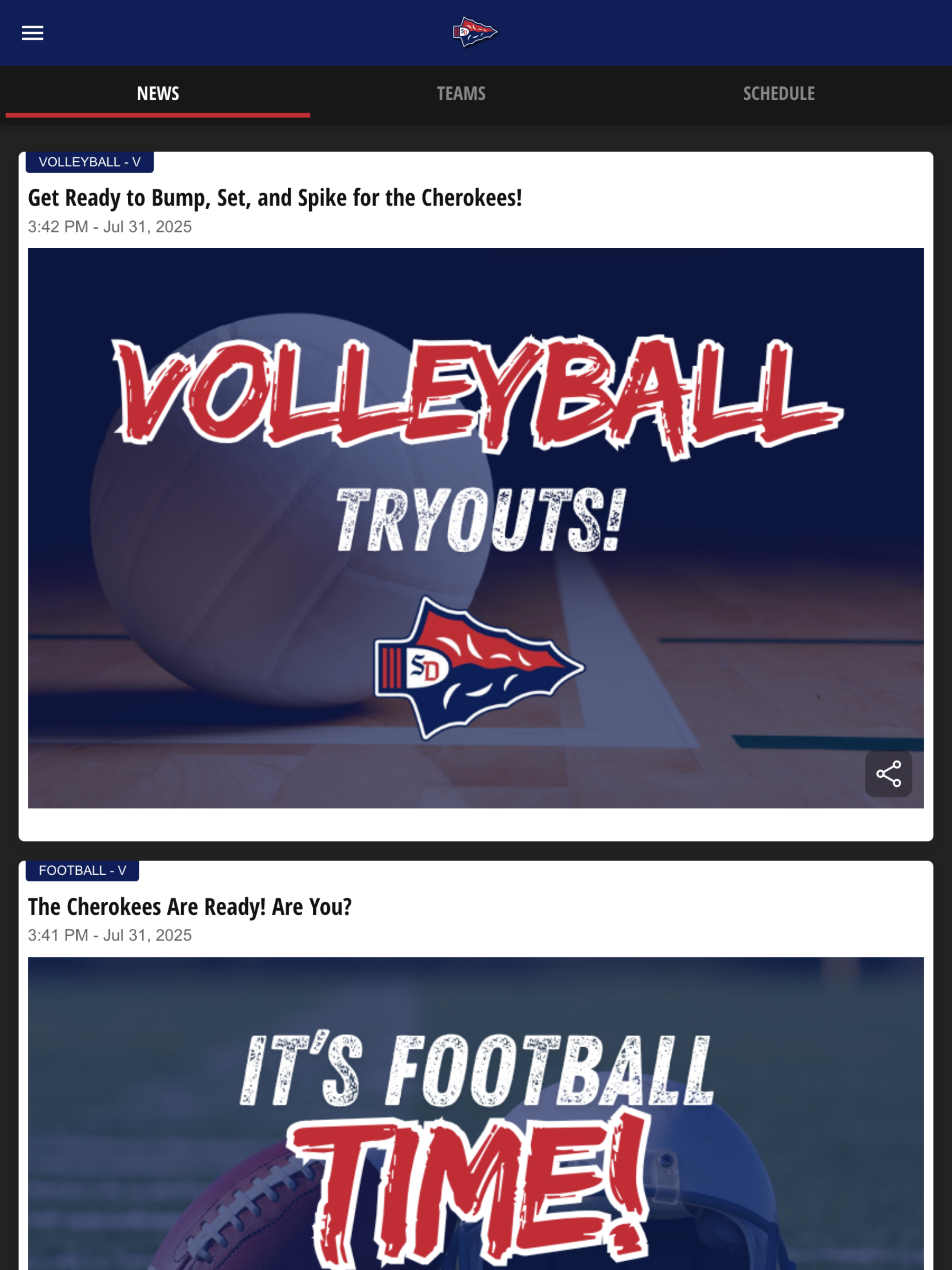 South-Doyle Athletics screenshot 9
