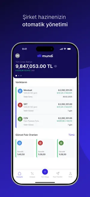 Mundi: Otomatik Nakit Yönetimi screenshot 1
