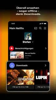 netflix iphone bildschirmfoto 2