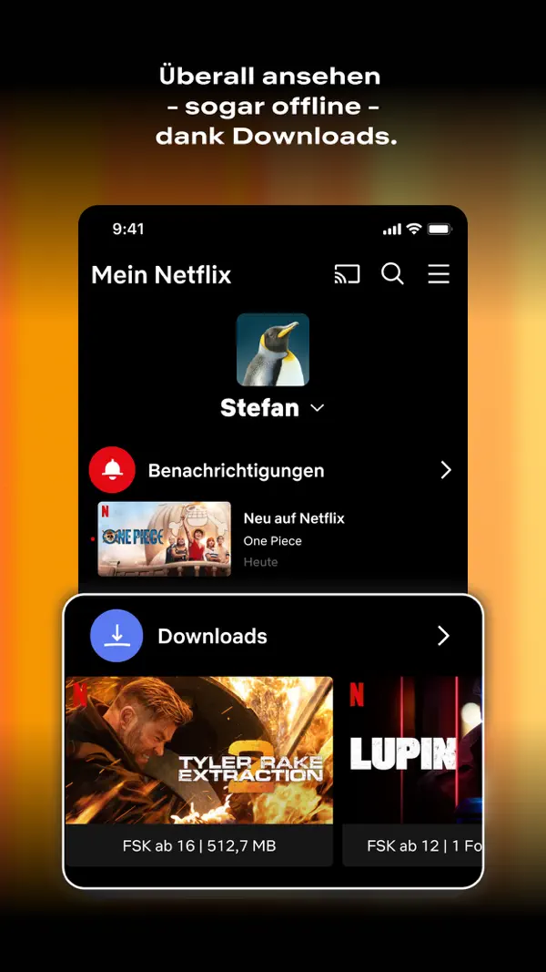 Netflix iPhone App Screenshot 2 – Unterhaltung