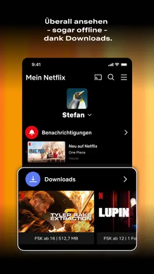 Screenshot von Netflix auf dem iPhone 2