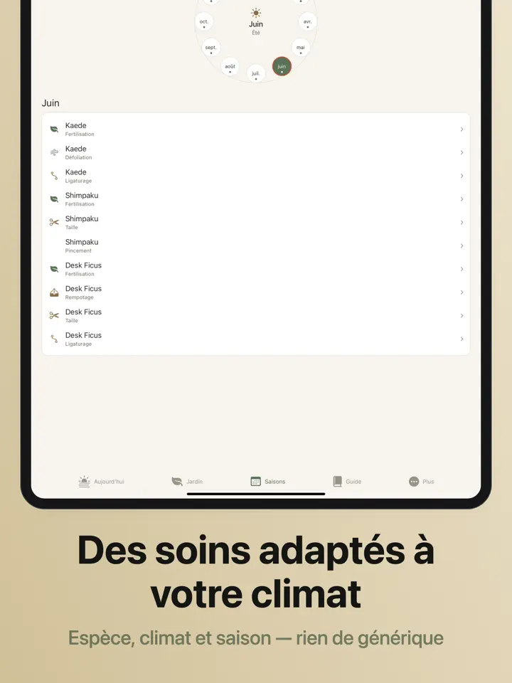 Bonsaiku sur iPad : capture d’écran 3 sur 7