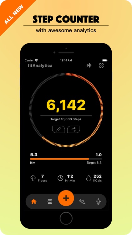 fitAnalytica - Step Counter