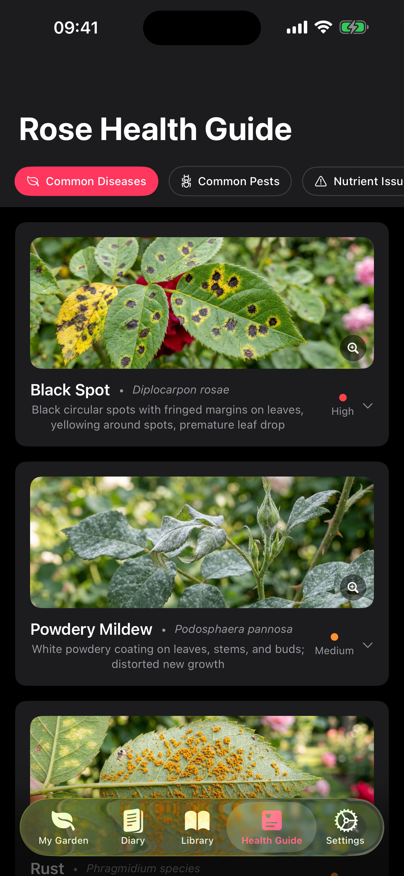 RoseGarden screenshot 5