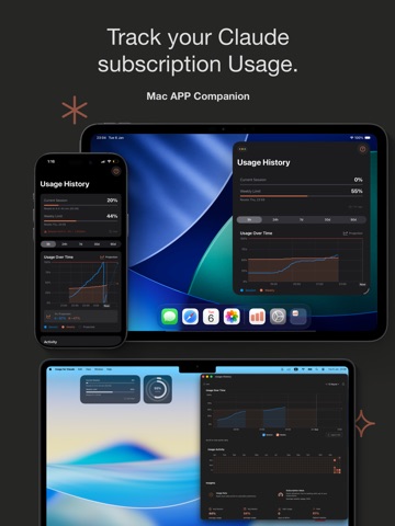 Claude Code Usage Tool Screenshot 1