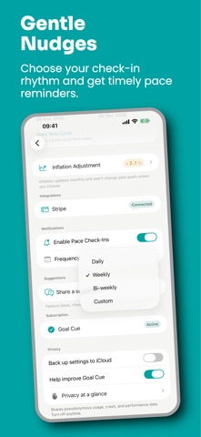 Goal Cue: Income Tracker screenshot