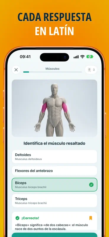 Anatomía: test de anatomía screenshot 7 of 9