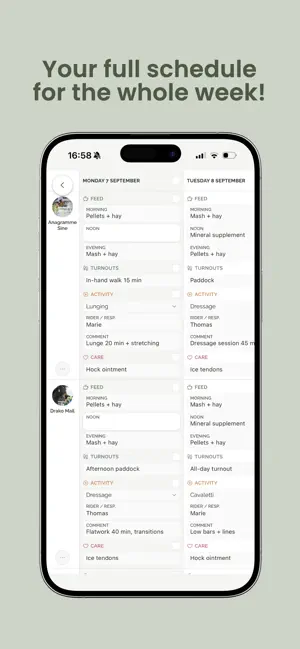 Cavalista screenshot 4