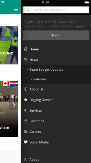 Badger Underground screenshot 2