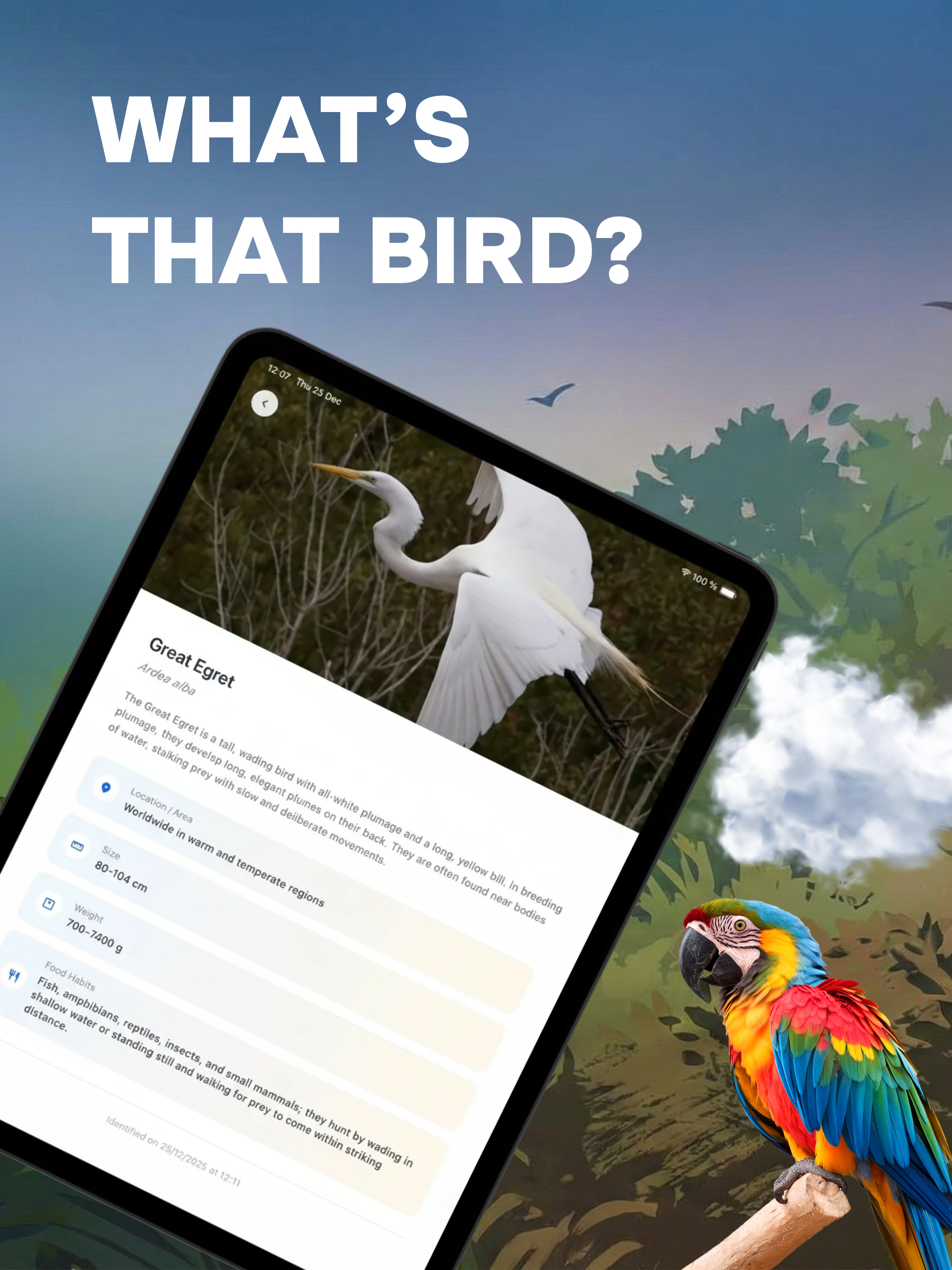 Birder: Bird identifier