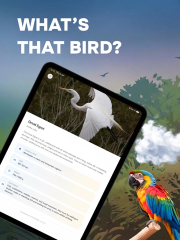 Birder: Bird identifier iPad screenshot