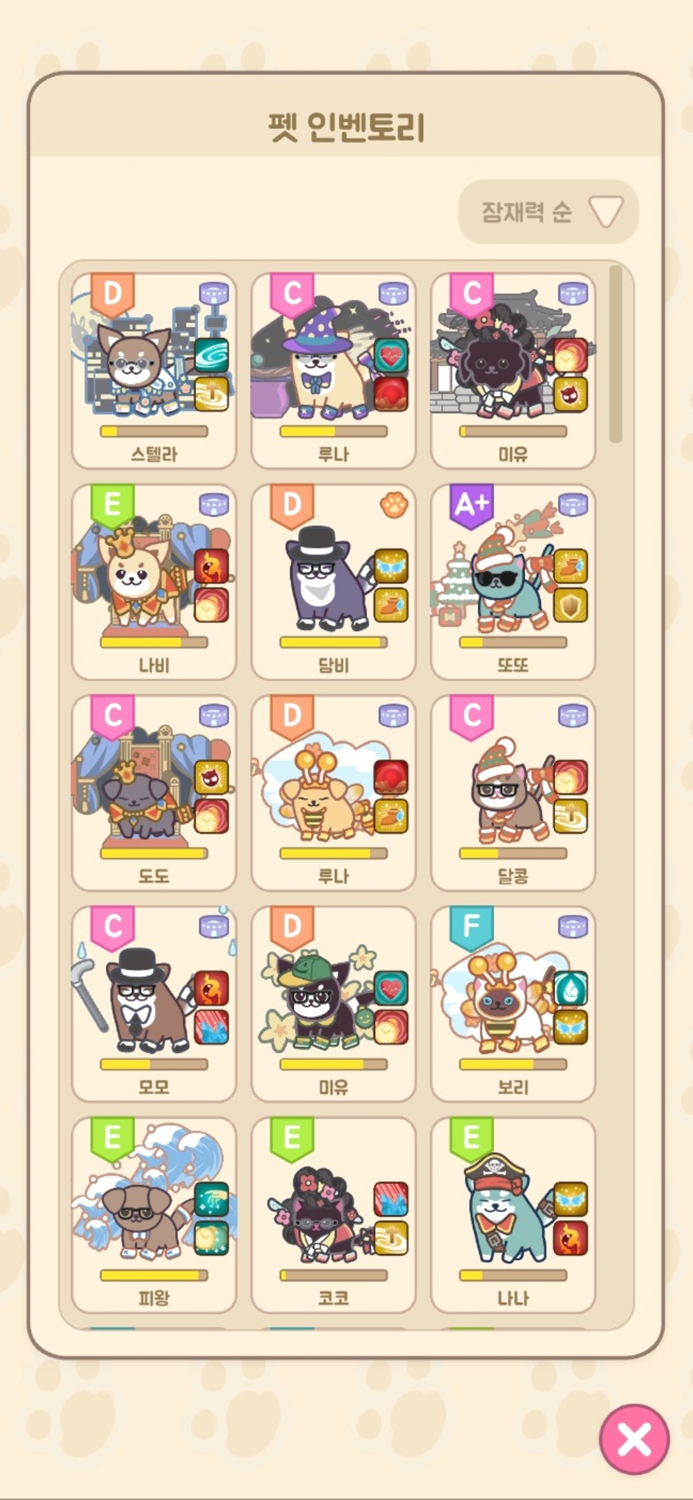 캣독런 펫과의 산책