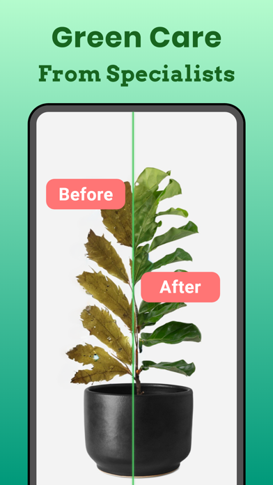 Plant Identifier: Identify Screenshot