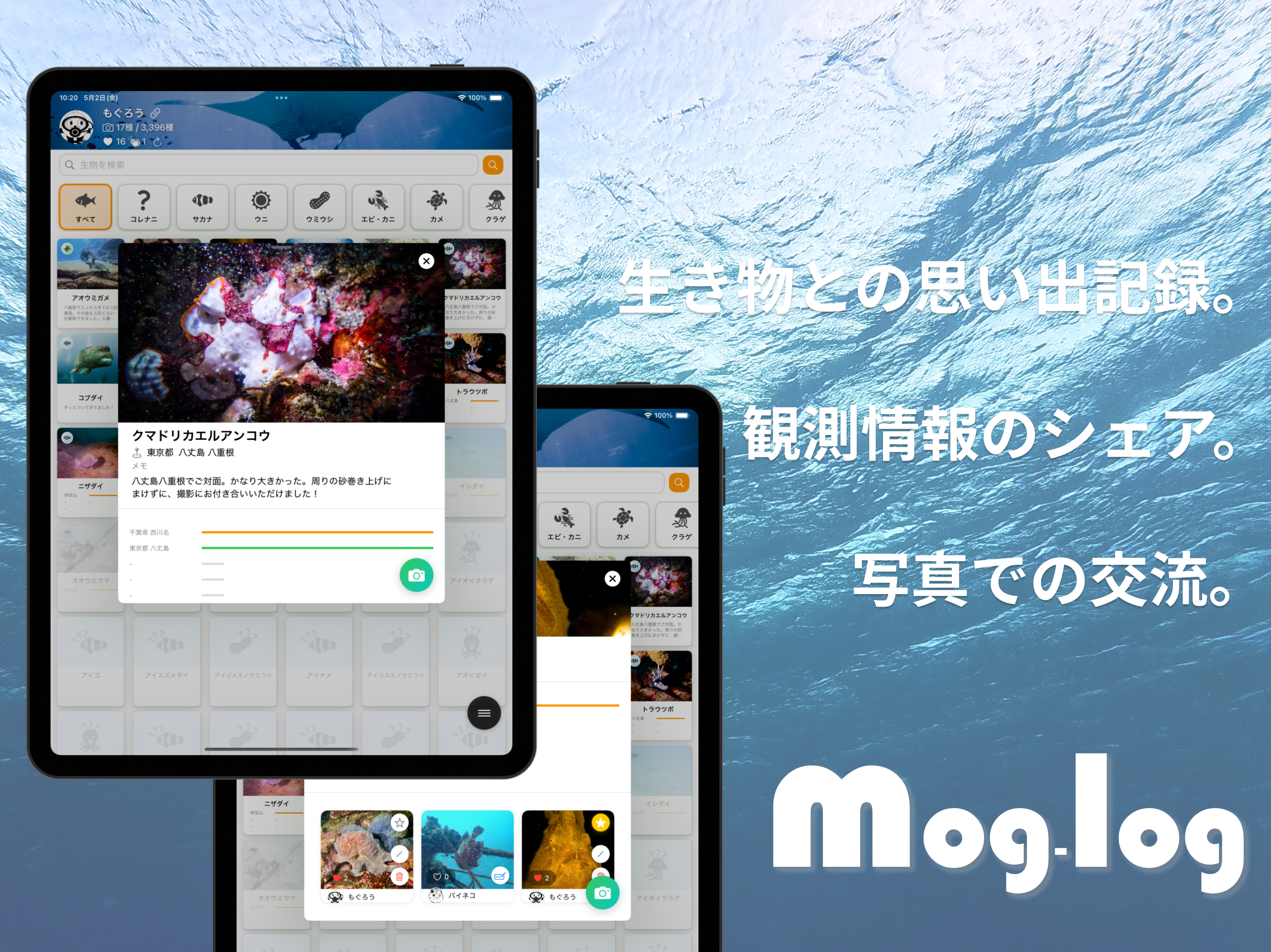 mog-log｜みんなで作る海の生き物図鑑