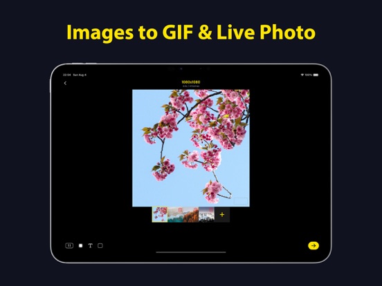 Screenshot #5 pour WooGIF Pro