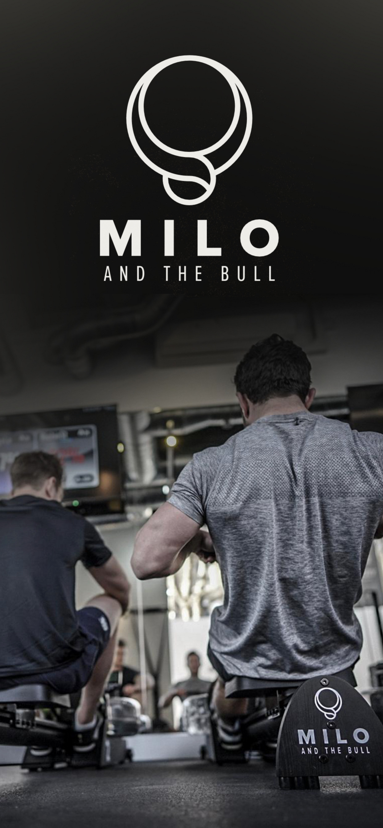 Milo and the Bull