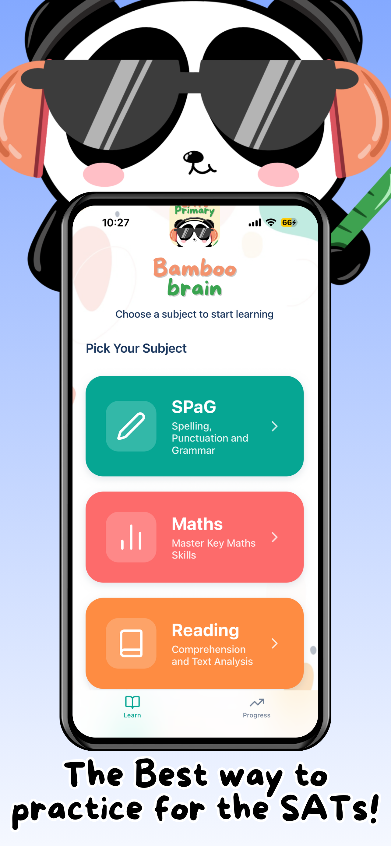 Bamboo Brain SATs