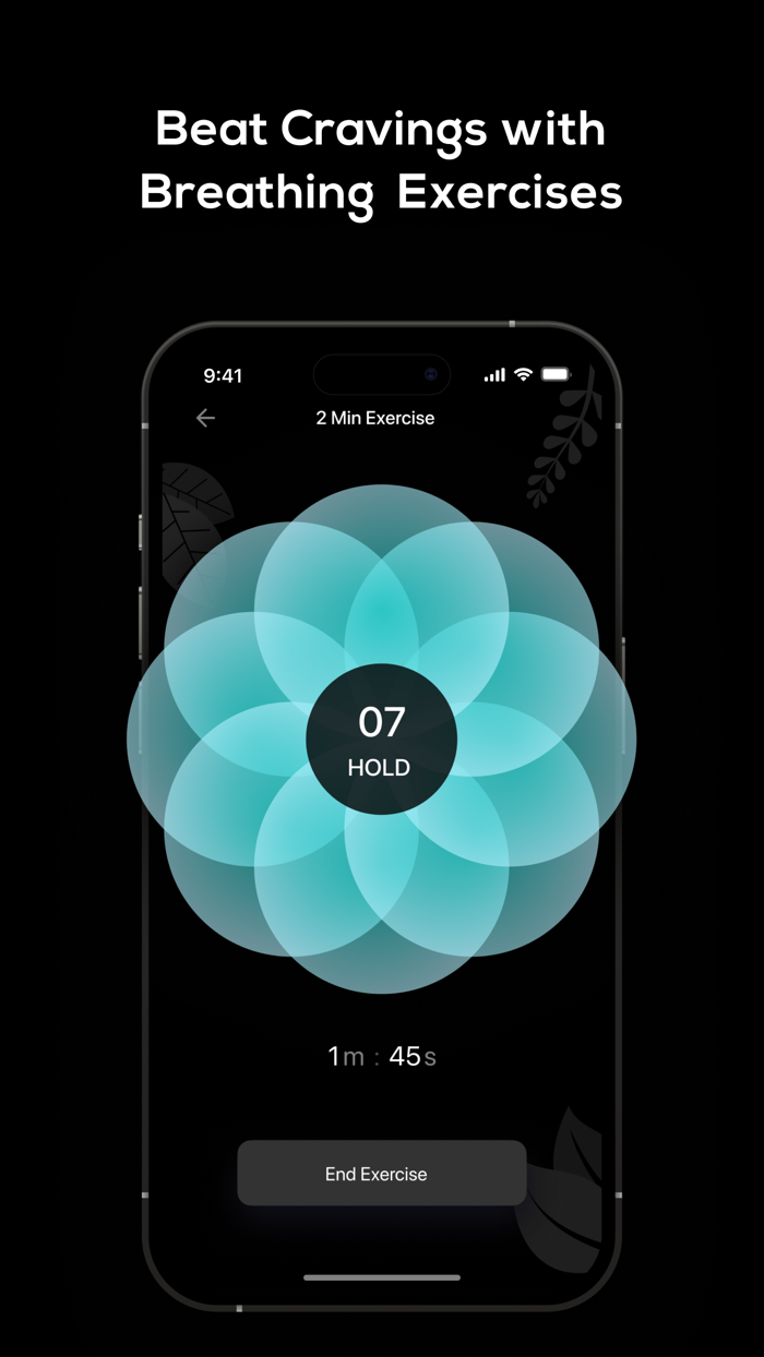 Quit Vaping and Smoking - NoPuff