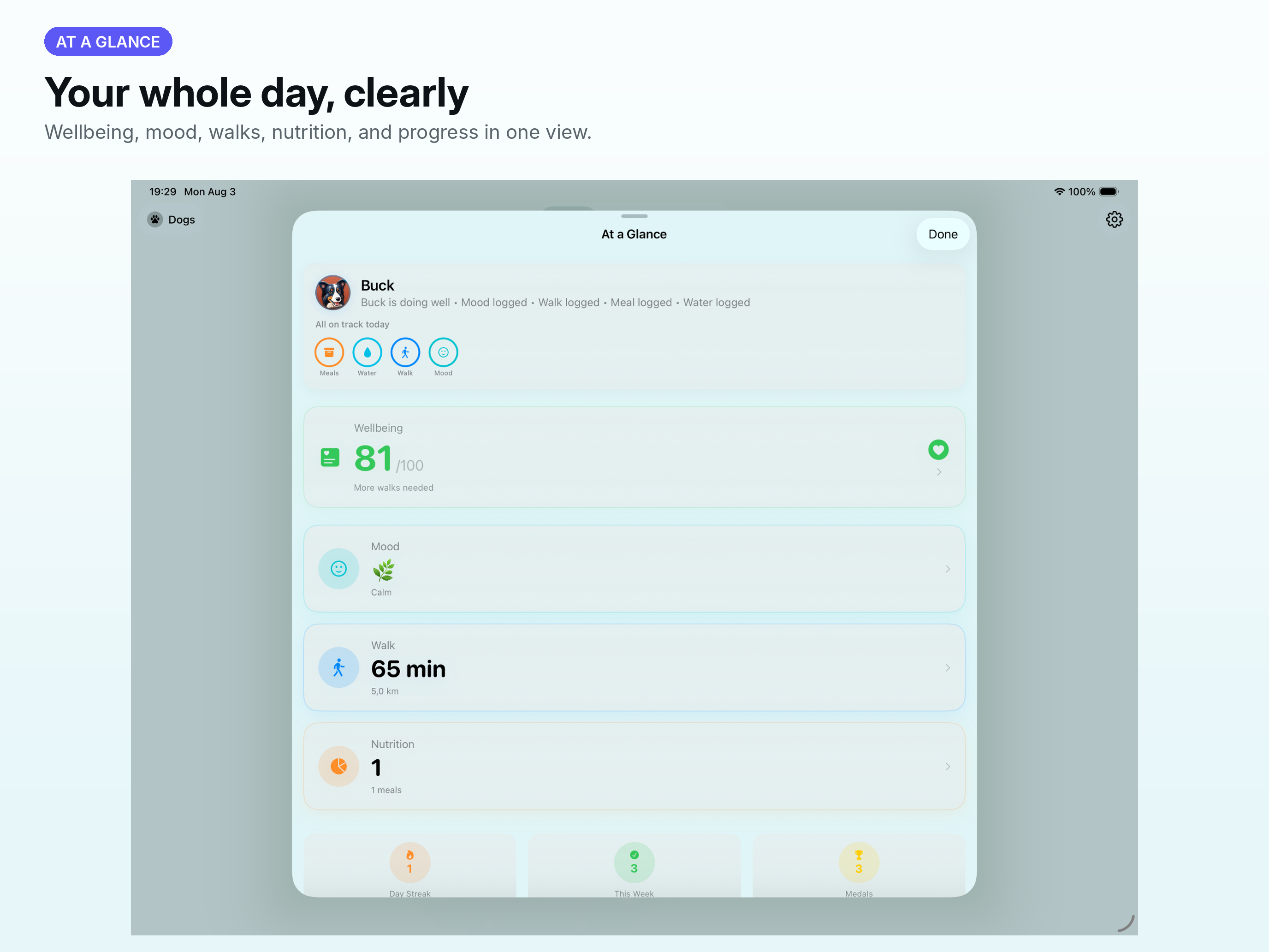 Dogleams screenshot 13