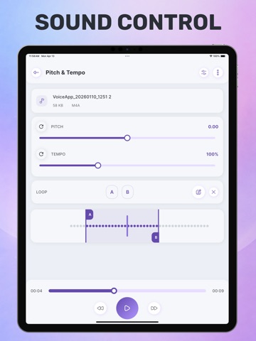Easy Music Speed Changer iPad screenshot