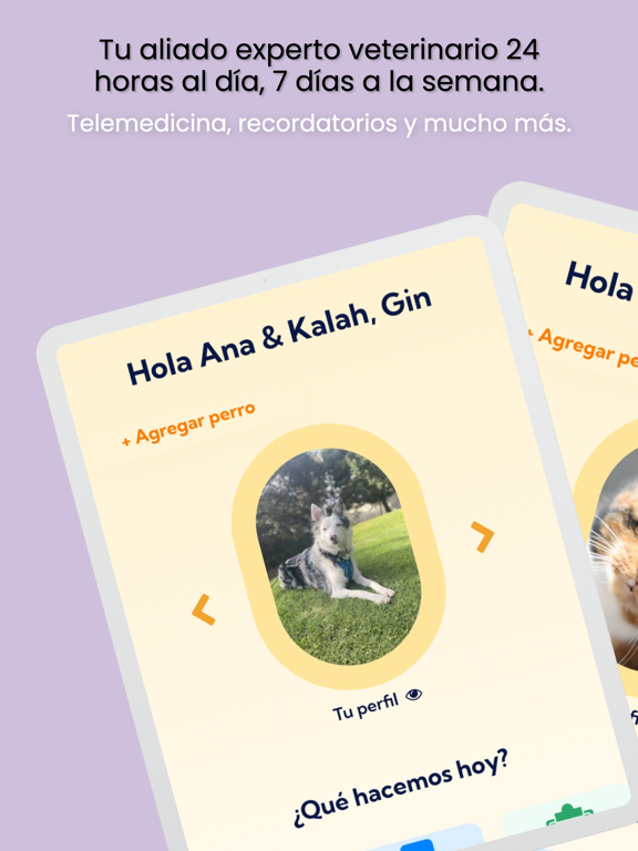Wuufy iPad screenshot 1 - Lifestyle app