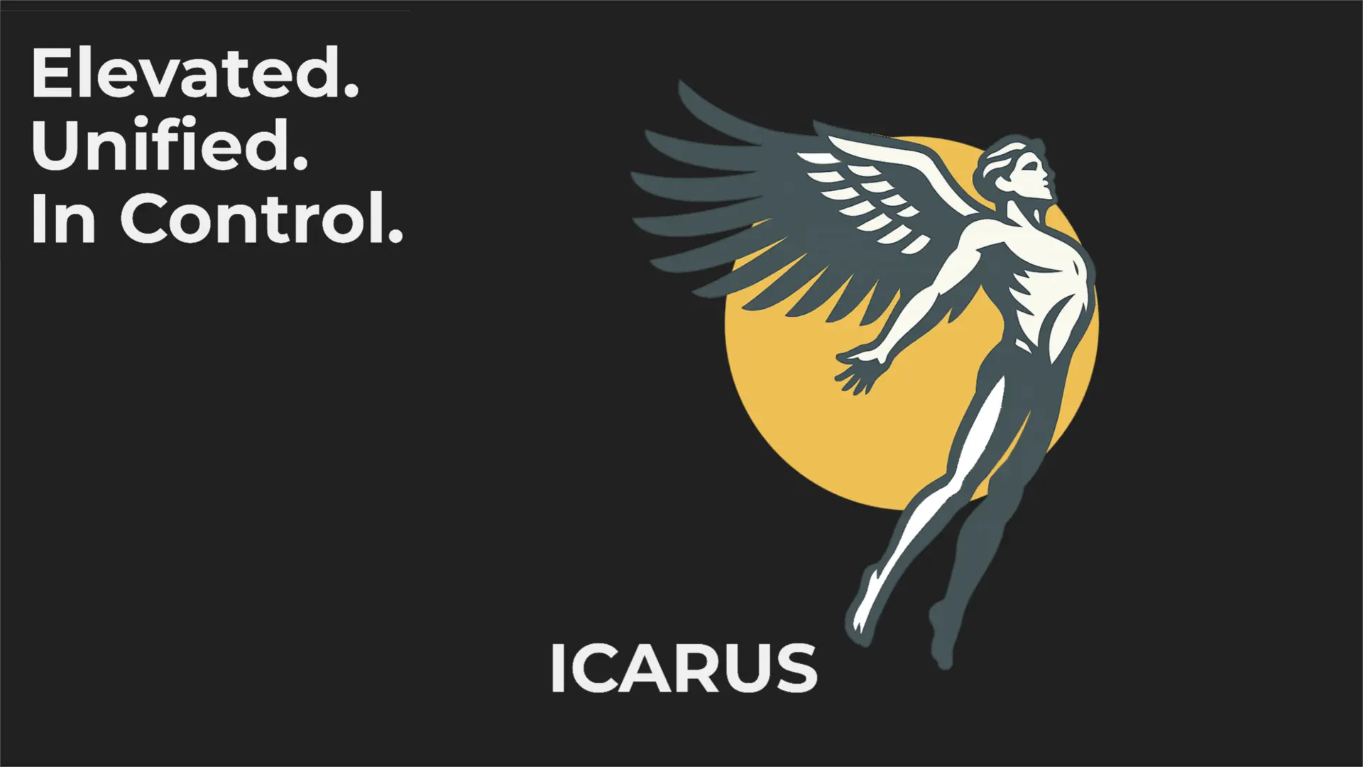 Icarus - Media Manager screenshot