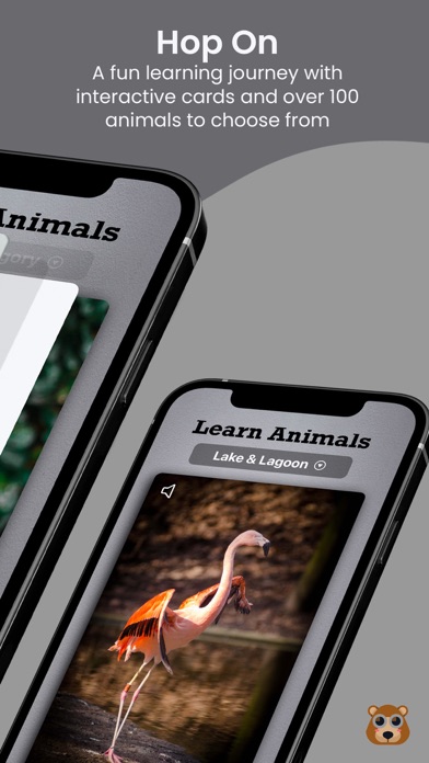 Learn Animals - Name Sounds Screenshot