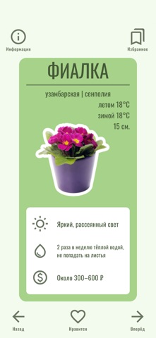 Flowers'Choice screenshot