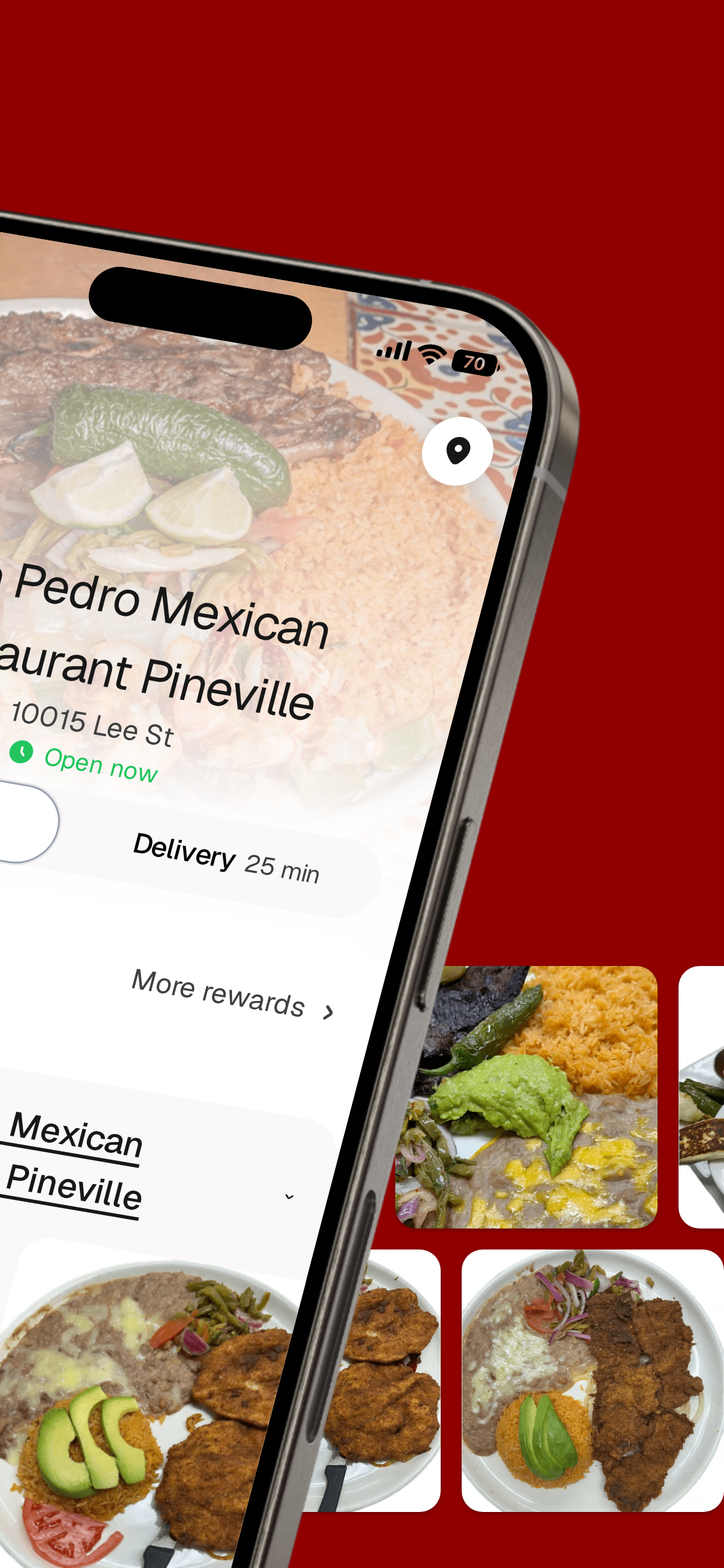 Don Pedro Restaurant To Go screenshot 2