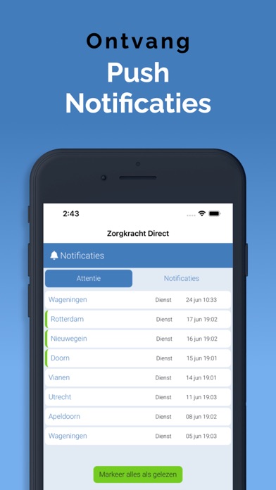 Zorgkracht Direct Screenshot