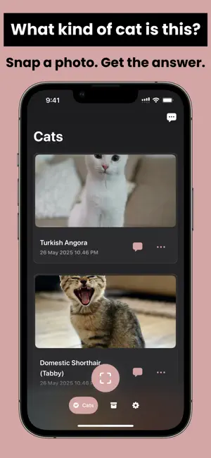 Cat Breed Identifier - Petkit screenshot 2