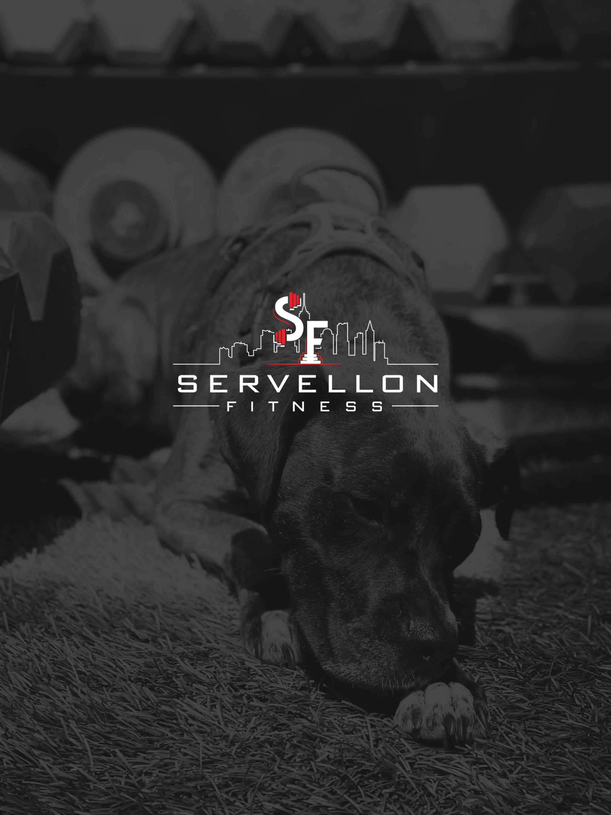 Servellon Fitness App screenshot 7