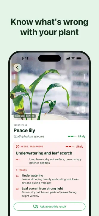 Plant Identifier: Care & Heal screenshot 1