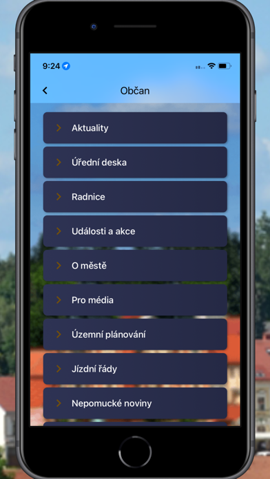 Nepomuk Screenshot