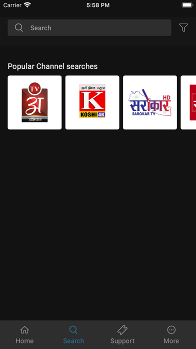 NetTV