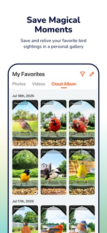WoBirdy Screenshot 2 of 4