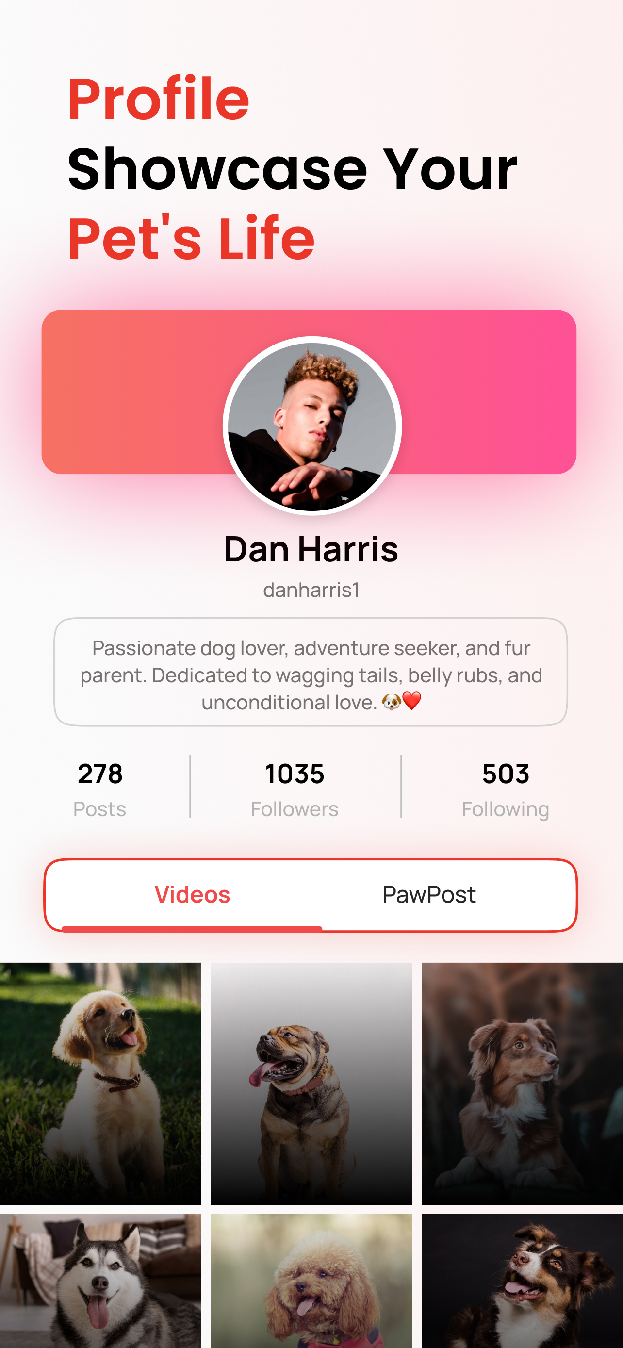 PetMeet - Pet Social Network