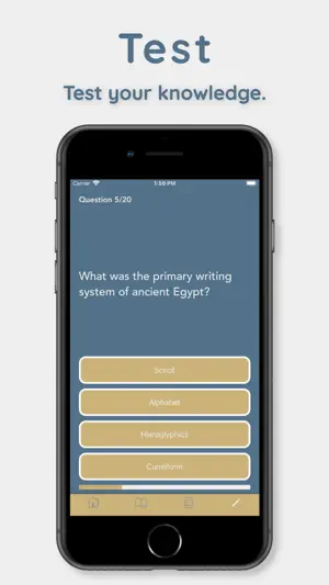 Globe: World History screenshot 4
