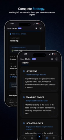 Bass Clarity Screenshot 6 of 9