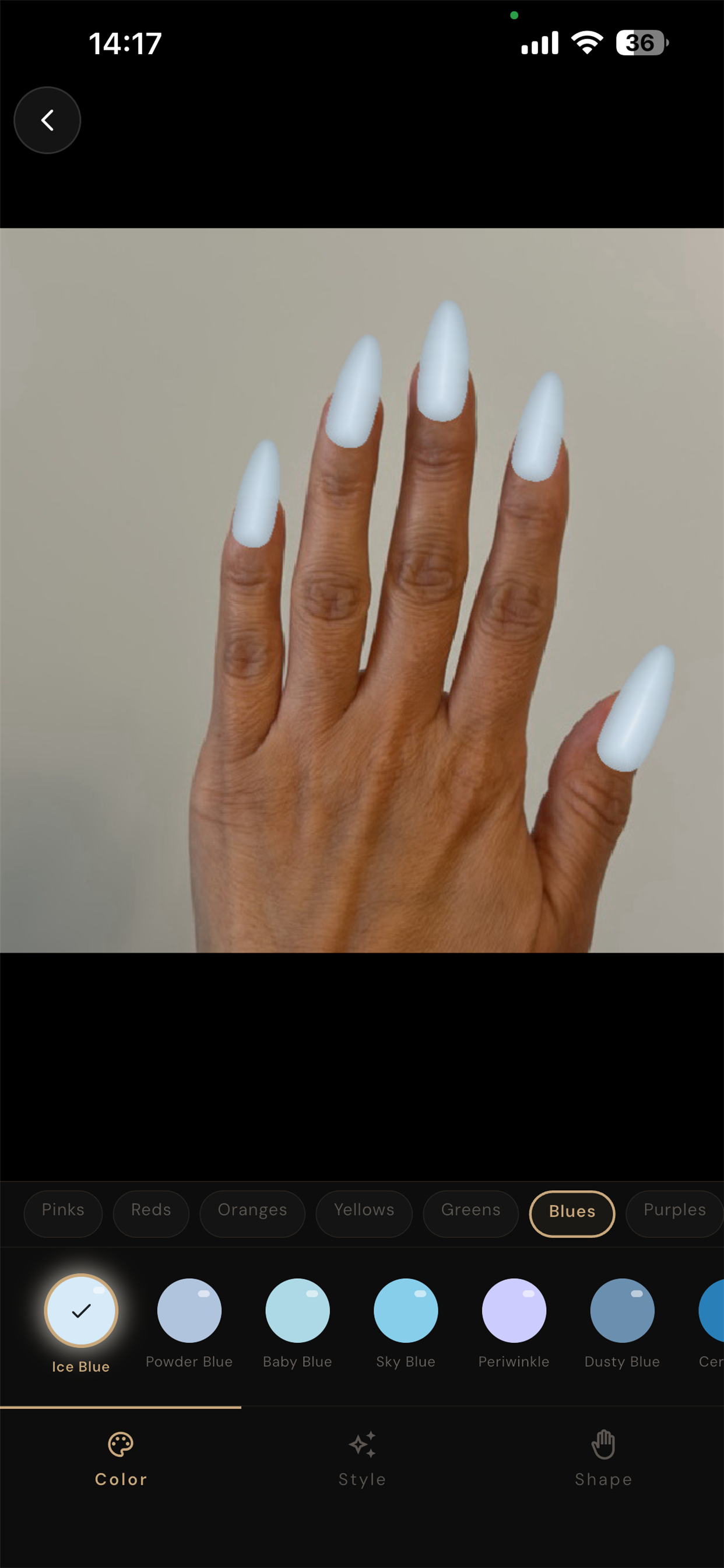 NailCam