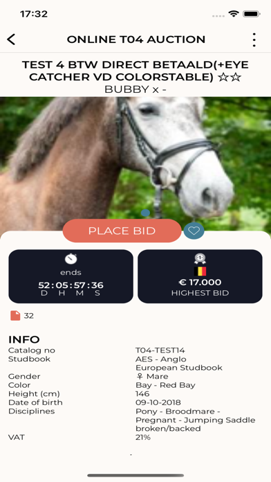 European Sport Horse Auction Screenshot
